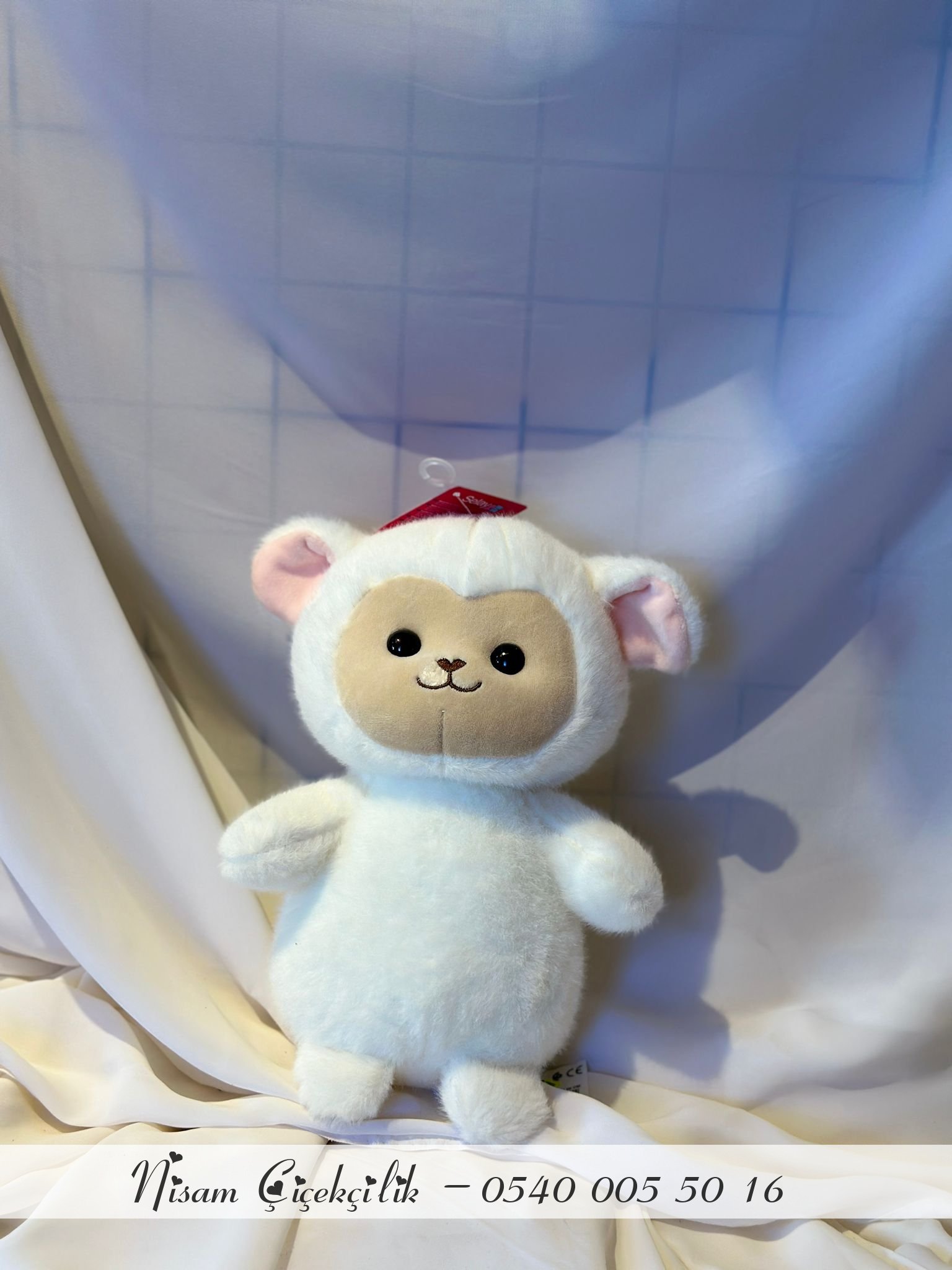 Peluş Oyuncak
